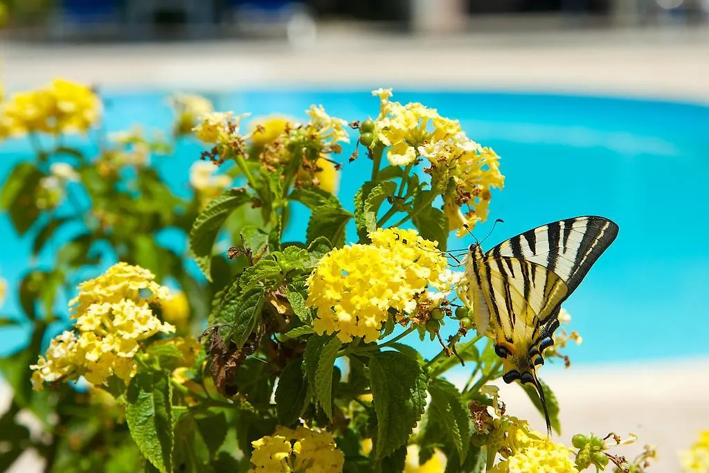 Nikos Studios And Apartments Sami  0*, Sami (Kefalonia) Grèce