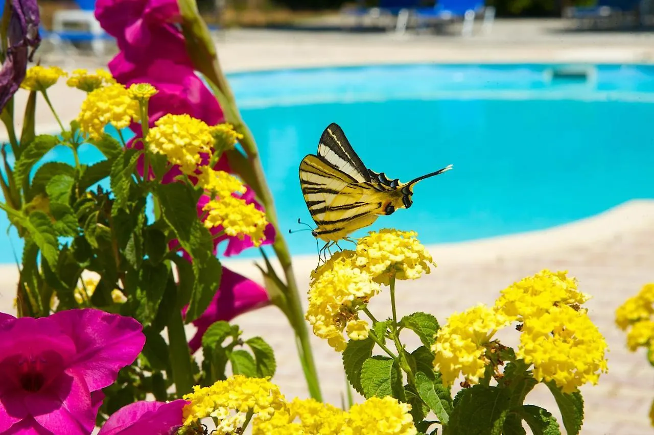 Nikos Studios And Apartments Sami  Sami (Kefalonia)